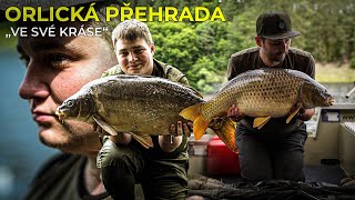 Týden na Orlíku  Carp Fishing [upl. by Asinet]