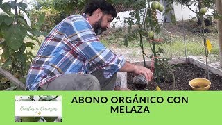 Abonar con Melaza  Abono Orgánico para Plantas  Huertas y Cerveza [upl. by Ayikaz]