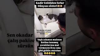 music psikoloji mugeanli challenge öneçıkar evlilik keşfet funny kadirezildi cats cat [upl. by Schapira]