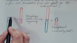 Robertsonian Translocation Genetics [upl. by Chilson]