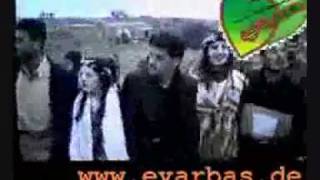 Arabic Dabke Song  Kurdish Folk Dance [upl. by Hairas]