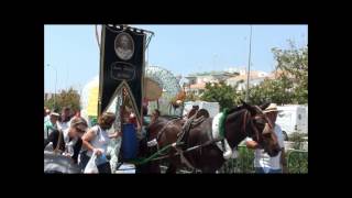 San Isidro Festival Nerja 2012 [upl. by Latrice674]