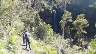 Bindaree Falls in November Mount Buller area [upl. by Ewall]