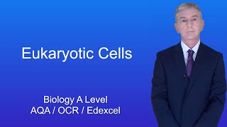 PROKARYOTIC CELL STRUCTURE AND ORGANELLESAlevel Biology cells topic 2 [upl. by Brendin]