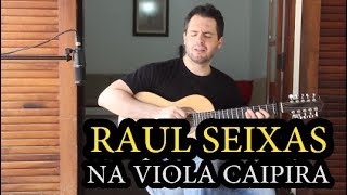 Raul Seixas na Viola Caipira  Medley [upl. by Vachil531]