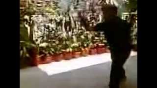 Liu Ho Pa Fa Liuhebafa  Xinyi Meditation  Grandmaster David Chan 19502012MP4 [upl. by Suaeddaht]