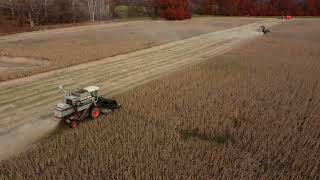 F2 amp F3 Gleaner Combines Soybean Harvest 2023 [upl. by Harlen]