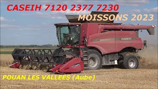 MOISSONS 2023  CASEIH  7120 2377 7230  POUAN LES VALLEES AUBE [upl. by Calan]