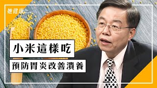 小米加2食材一起吃，預防胃炎、改善潰瘍！｜胃潰瘍｜十二指腸潰瘍｜小米粥｜養胃｜何永成 醫師｜336｜談古論今話中醫 [upl. by Uri]