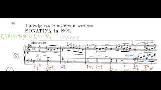 Beethoven Sonatina in G major Analyis [upl. by Rotkiv]