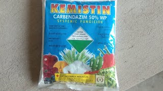 KEMISTIN Carbendazim 50 WP Systemic Fungicide [upl. by Jeno]