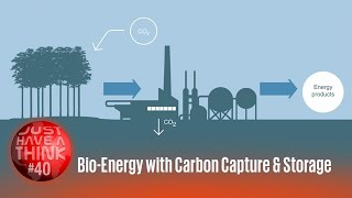 BioEnergy with Carbon Capture and Storage BECCS [upl. by Riccio]