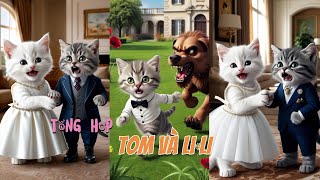 Tổng hợp tom và li li vairalvideo youtube ngaycuameo [upl. by Yrotciv]