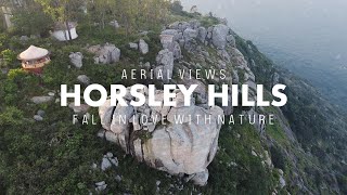 Horsley Hills  Travel Vlog with Aerial Views  Andhra Pradesh Tourism [upl. by Rodrique]