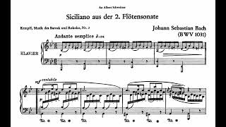 J S Bach Siciliano from the Flute Sonata No2 BWV 1031 [upl. by Curnin778]