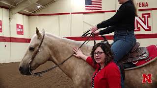 Turning on Haunches or Pivoting Your Horse [upl. by Hadsall]