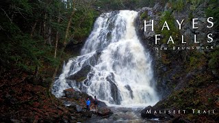 Hiking the Maliseet Trail to Hayes Falls  New Brunswick [upl. by Ennylhsa37]