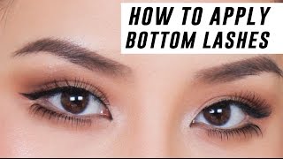 How to Apply Lower Lashes for Beginners  Tina Yong [upl. by Ahsirtak]