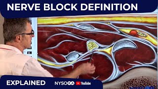 Nerve block definition  Regional anesthesia Crash course with Dr Hadzic [upl. by Eigriv]