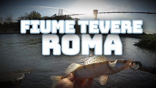 Spinning Ai PREDATORI Del Fiume TEVERE 🎣 Castel GIUBILEO  ⚠️ ROMA ⚠️ [upl. by Towland]