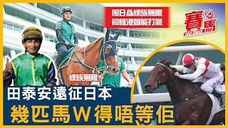 9月28日HKJC沙田周六馬 田泰安遠征日本黃寶妮乘勝追擊！轉倉馬新馬季好表現 巫偉傑博愛先鋒有贏面！盈妍威楓試好閘等潘頓炮製 潘明輝沙田未斷纜隨時又做巨人殺手！CC中文字幕賽馬FactCheck [upl. by Orville]