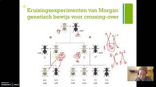 6  Genetica  Gekoppelde genen theorie [upl. by Lucie]