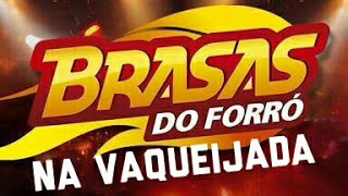 FORRO E VAQUEJADA BRASAS DO FORRO CANTA VAQUEJADA [upl. by Euqinim]