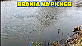 BRANIA RYB NA PICKERA [upl. by Jimmie]