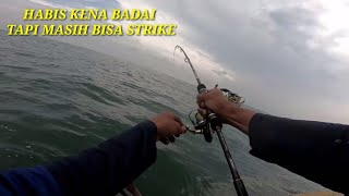 sehabis badai di laut ikan langsung makan [upl. by Ailemac]