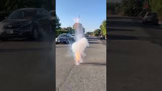 Porky Revenge Salute 2024 fireworks demo shorts daytime loud [upl. by Eicaj133]