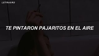 te pintaron pajaritos en el aire LetraLyrics [upl. by Florencia716]