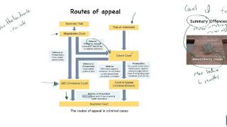 Criminal Courts  1  A General Outline [upl. by Delahk742]