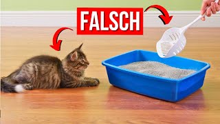 Machen Sie niemals DIESE FEHLER mit der Katzentoilette Ihrer Katze [upl. by Nylessej]