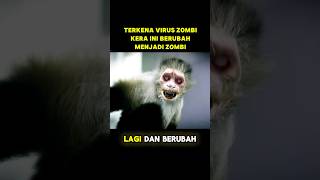 KERA INI TERKENA VIRUS ZOMBI alurceritafilm film shorts [upl. by Akenat]