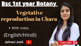 Chara Vegetative reproduction NotesBsc 1st year Botany [upl. by Acinorev]