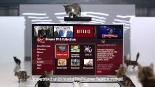 Virgin Media David Tennant TiVo Netflix Cat Ad [upl. by Farron103]