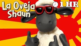 Español Capitulos Completos  La Oveja Shaun Temporada 1 [upl. by Ubald]