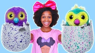 NEW HATCHIMALS TOY with Shiloh and Shasha  Onyx Kids [upl. by Nalda]