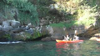 Kayak Tours in Nerja Maro and on the Viñuela Lake Andalucia Spain [upl. by Barbabas]