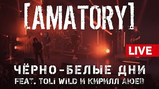 AMATORY  Чёрнобелые дни feat Анатолий Борисов и Кирилл Аюев LIVE  12092020 Москва [upl. by Corsetti]