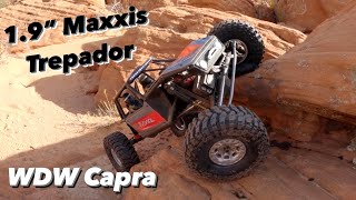 19 Maxxis Trepador First Drive WDW Winch Capra [upl. by Renaud]