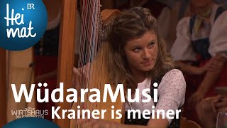 WüdaraMusi Krainer is meiner  Wirtshausmusikanten  BR Heimat  die beste Volksmusik [upl. by Bilek497]