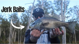 Borumba Dam  Jerkbait Bass [upl. by Kreis]