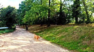 London Autumn Walk Through Crystal Palace Park 4K [upl. by Korman]