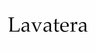 How to Pronounce Lavatera [upl. by Silin]