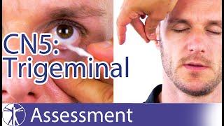 Cranial Nerve 5 Examination  Trigeminal Nerve Assessment for Physiotherapists [upl. by Notserp262]