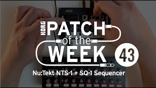 Patch of the Week 43 NuTekt NTS1  SQ1 Sequencer [upl. by Amliw]