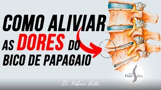 O QUE SÃO OSTEÓFITOS CAUSAS e TRATAMENTO  Clínica de Fisioterapia Dr Robson Sitta [upl. by Cointon]