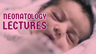 NEONATOLOGY lecture 7 JAUNDICE NEONATORUM unconjugated hyperbilirubinemia in detail [upl. by Enaillil]