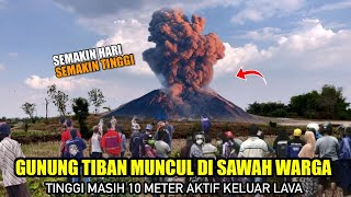 Akibat Gempa Bumi Muncul Gunung Tiban Di Sawah Warga [upl. by Ahsaenat39]